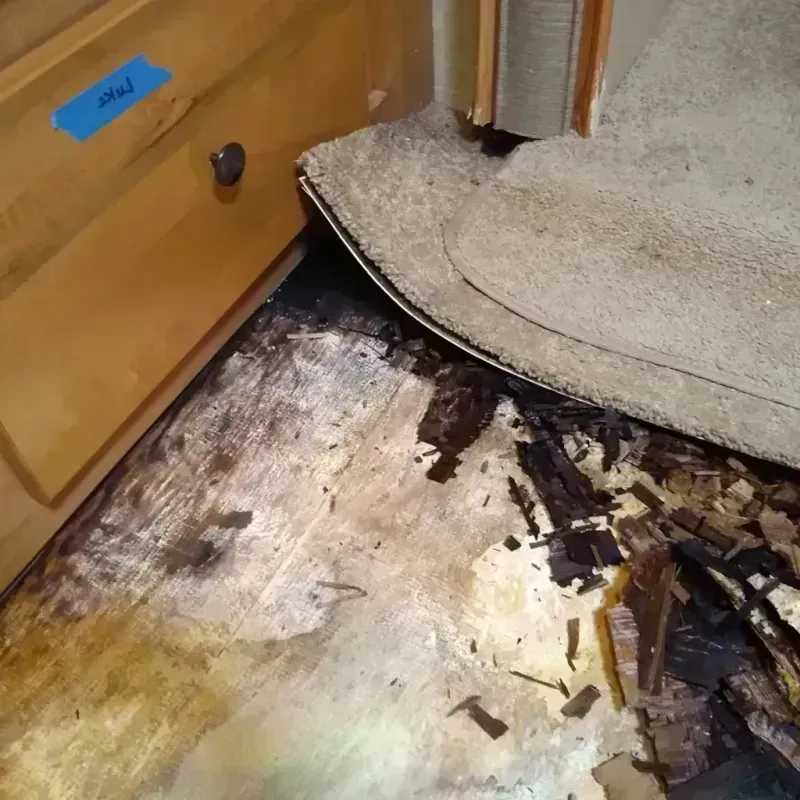 Wood Floor Water Damage in Silver Springs, FL